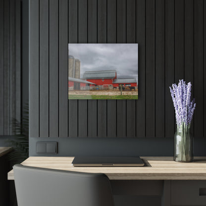 U R There Photography Daley Road Cow Barn Rustic Farmhouse Acrylic Wall Print