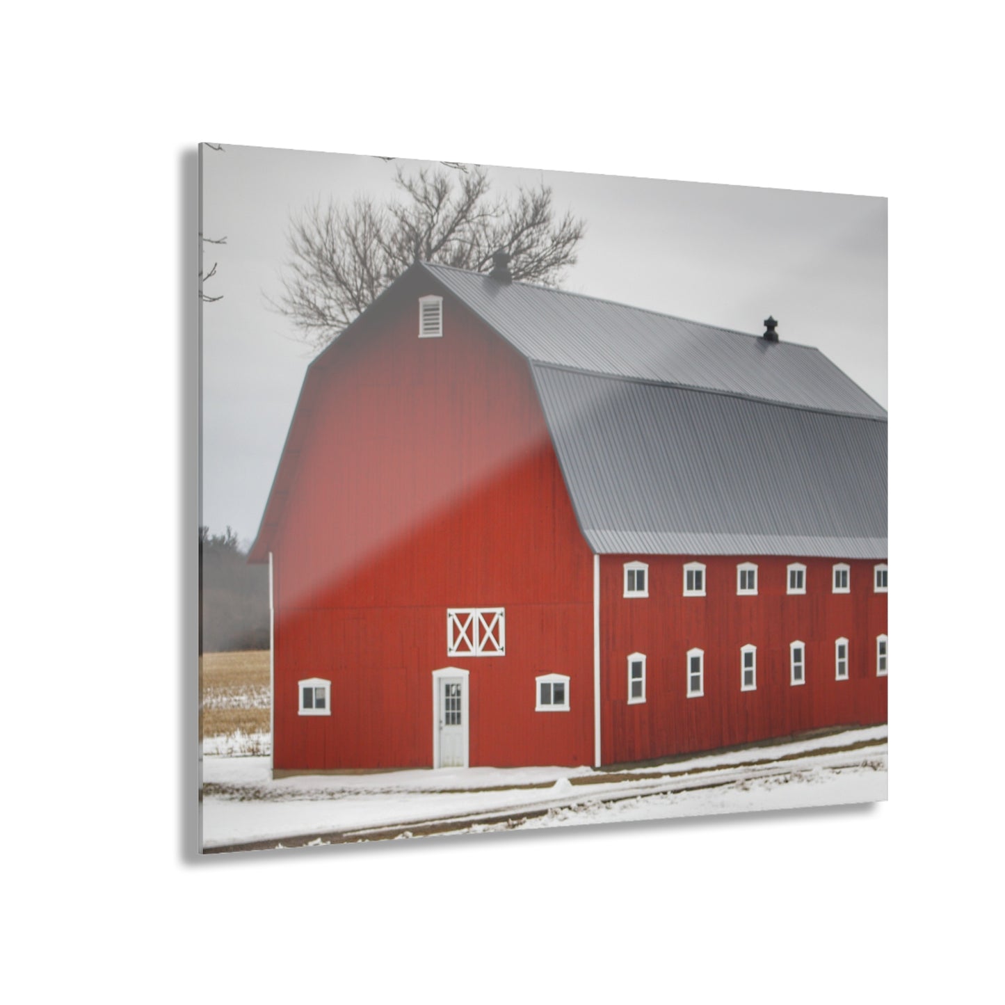 U R There Photography Hollow Corners Red Tree Silo II Rustic Farmhouse Acrylic Wall Print