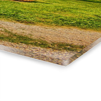 U R There Photography Marlette Road Saltbox Red Rustic Farmhouse Acrylic Wall Print