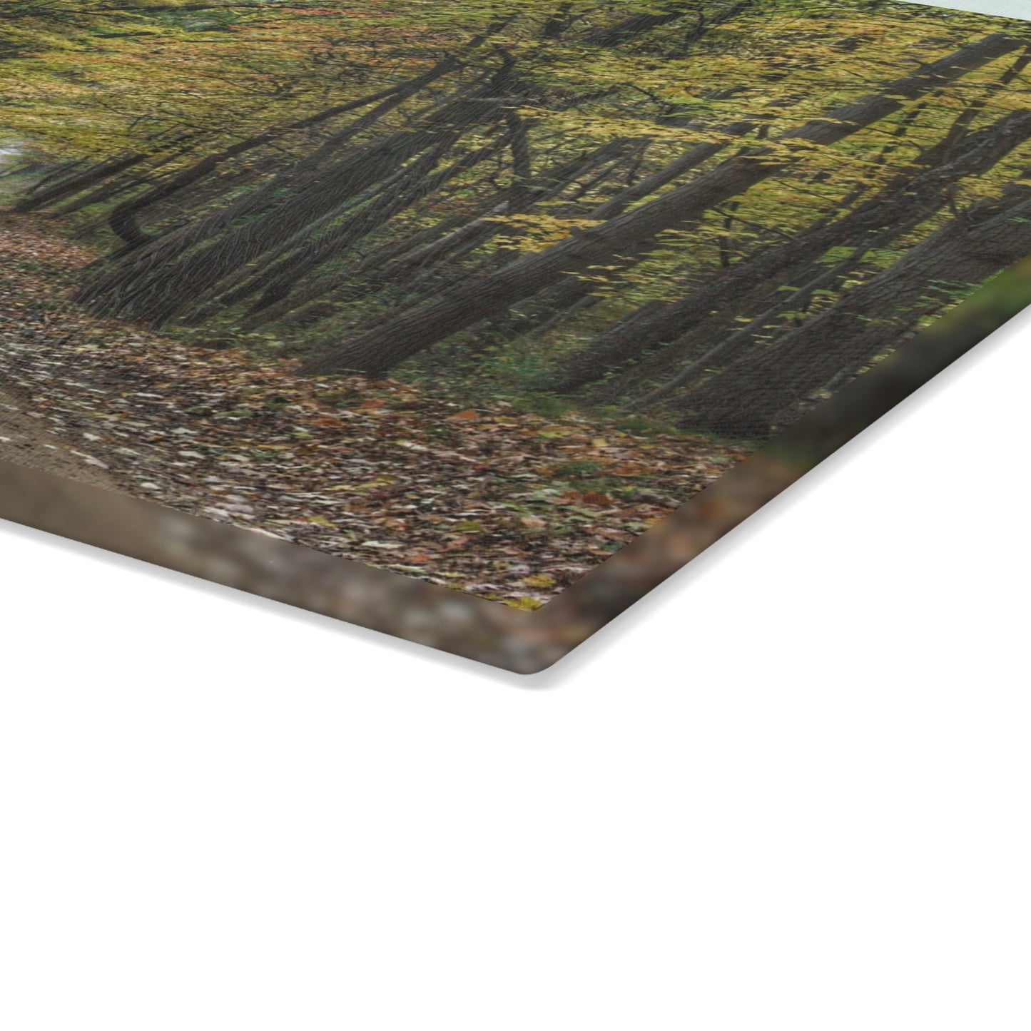U R There Photography Country Roads in Dryden IV Rustic Farmhouse Tempered-Glass Cutting Board