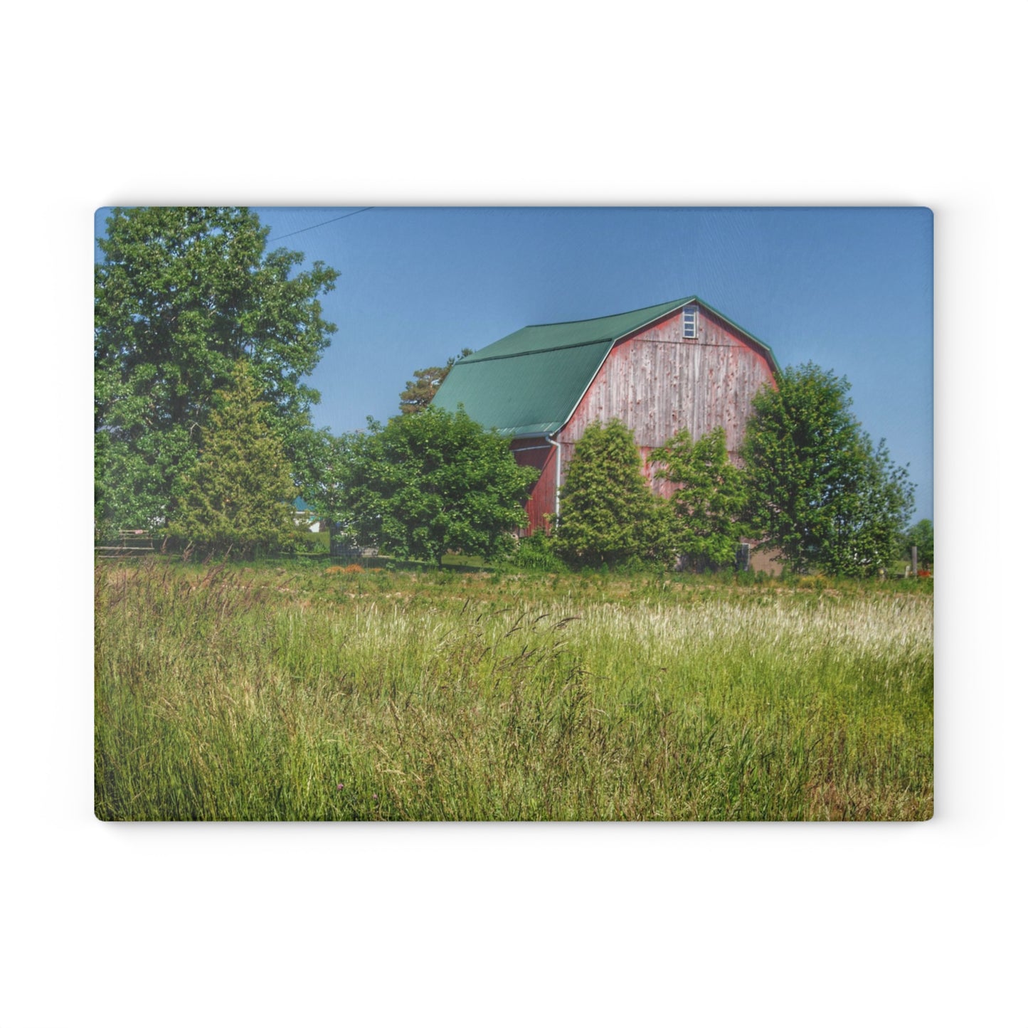 U R There Photography Elmwood Road Red IV Rustic Farmhouse Tempered-Glass Cutting Board
