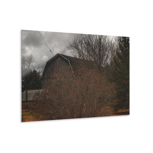 U R There Photography Caro Grey Hidden Rustic Farmhouse Acrylic Wall Print