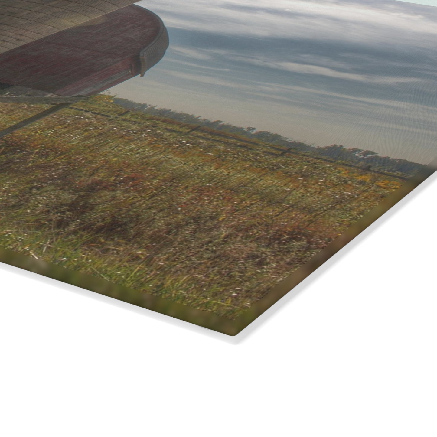 U R There Photography Mushroom Road Red II Rustic Farmhouse Tempered-Glass Cutting Board 8"x 11"