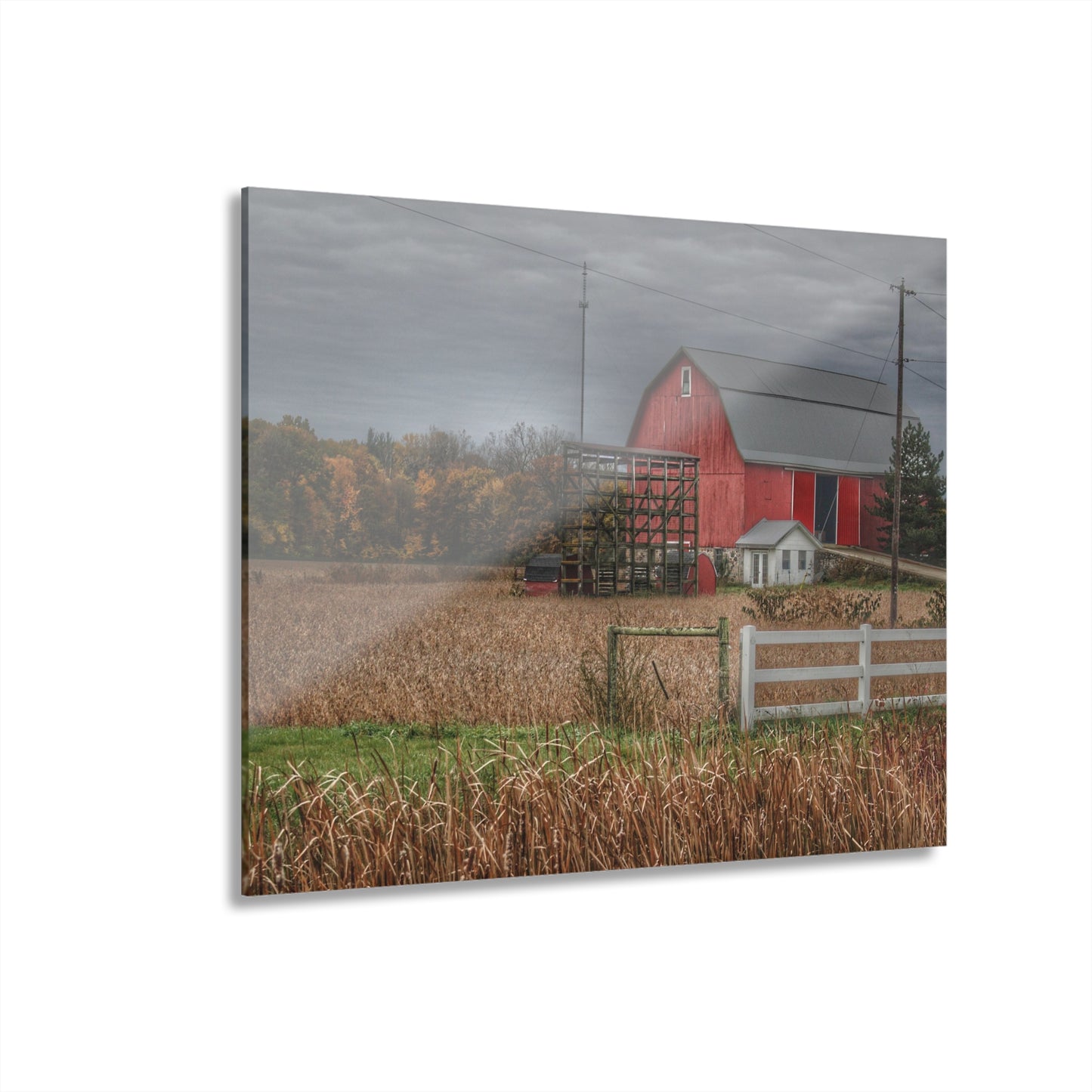 U R There Photography Barnes Road Red in Fall Rustic Farmhouse Acrylic Wall Print