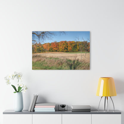 U R There Photography Fall on Piersonville Road Rustic Farmhouse Acrylic Wall Print