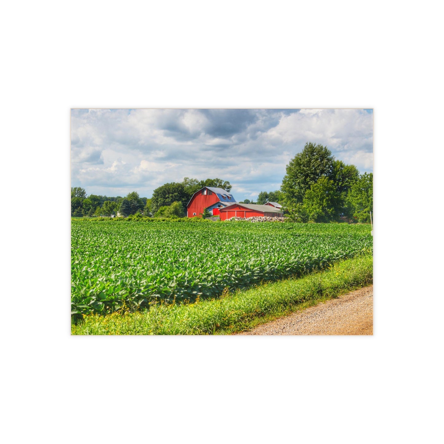 U R There Photography Block Road Reds Rustic Farmhouse Decorative Ceramic Tile