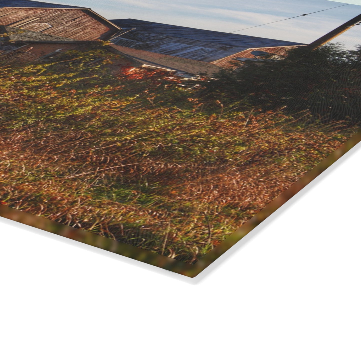 U R There Photography Montgomery Road Reds Rustic Farmhouse Tempered-Glass Cutting Board