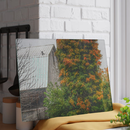 U R There Photography Ludwig Road Oxford Grey and Silo Rustic Farmhouse Tempered-Glass Cutting Board