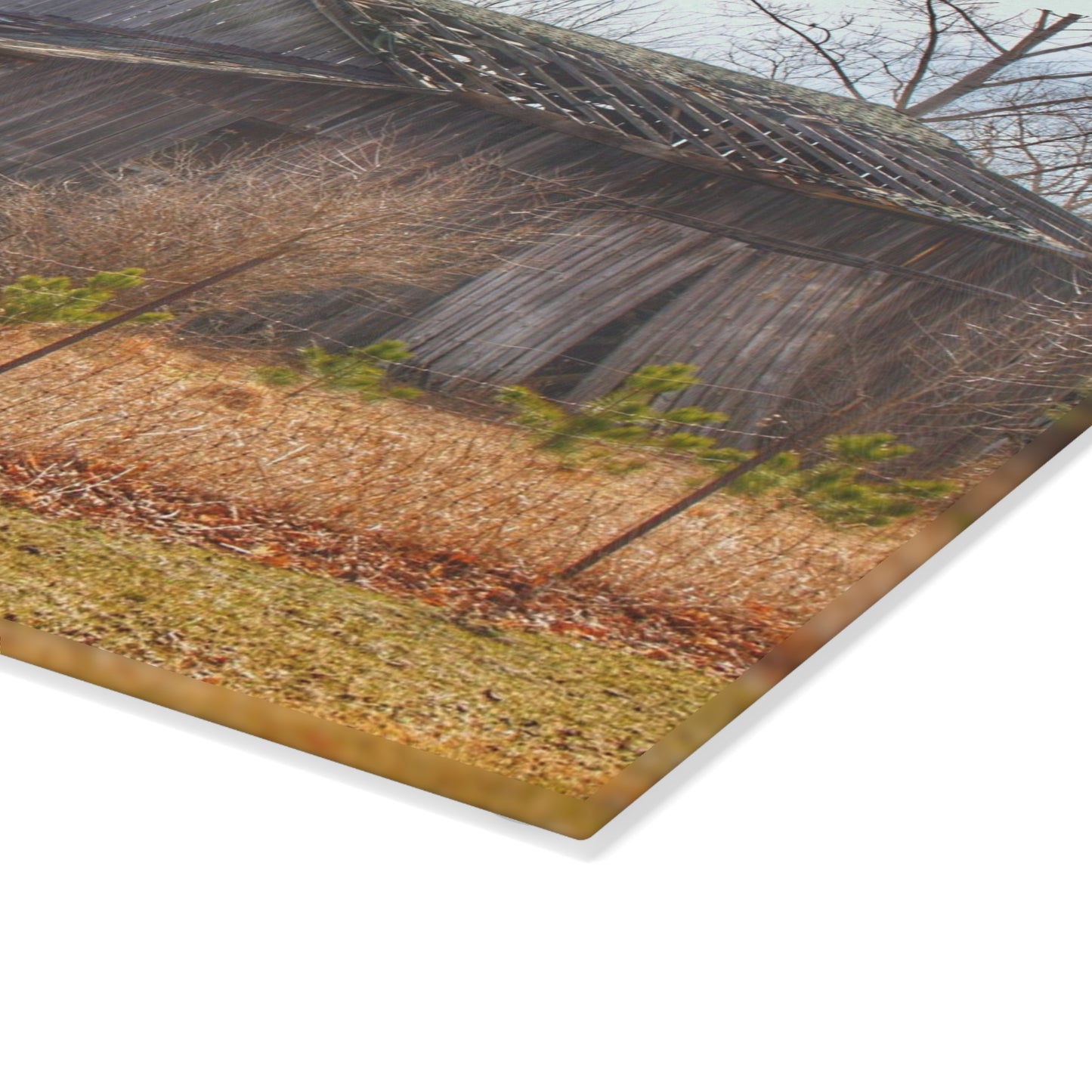 U R There Photography Leix Road Forgotten Grey I Rustic Farmhouse Tempered-Glass Cutting Board