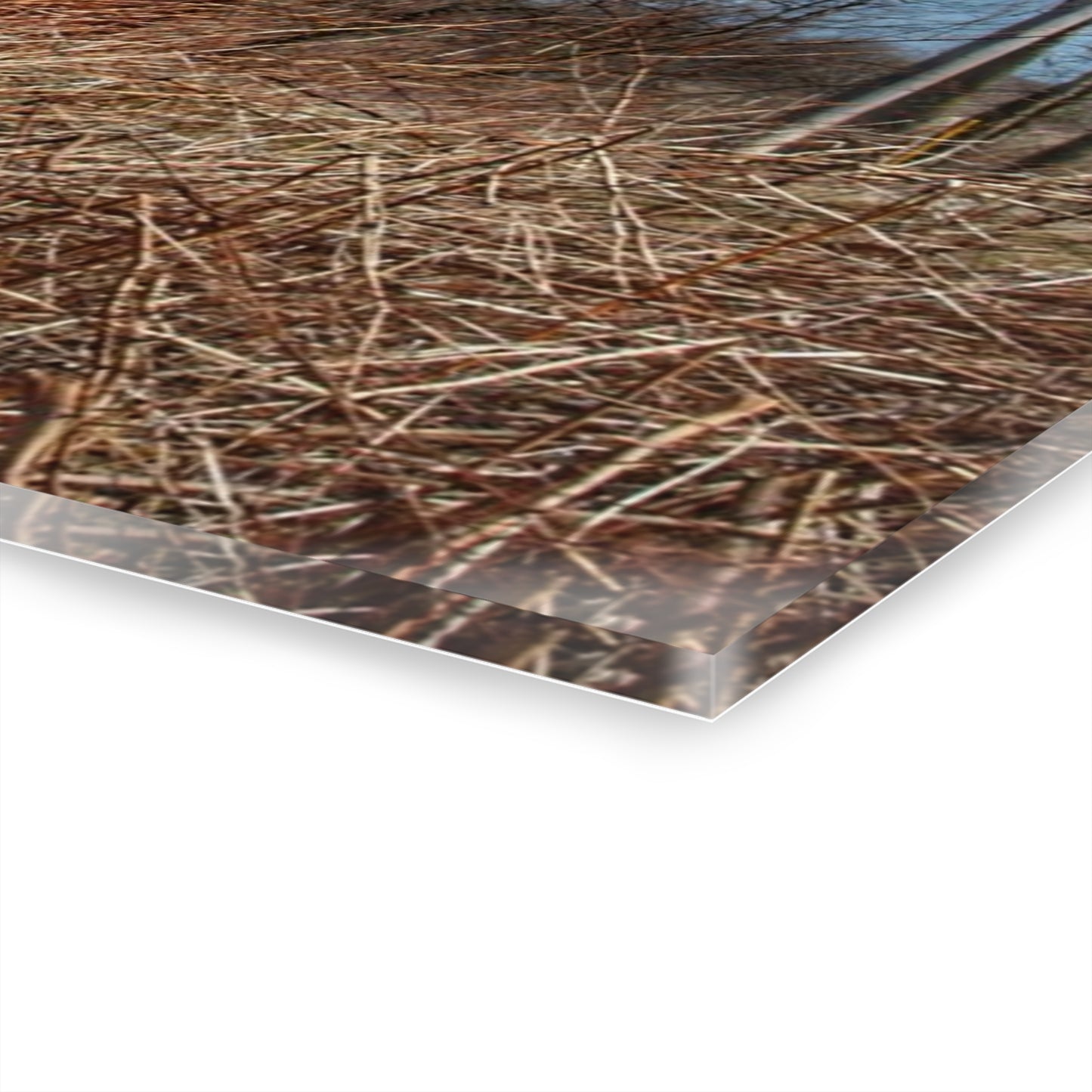 U R There Photography East Dodge Road Red Rustic Farmhouse Acrylic Wall Print