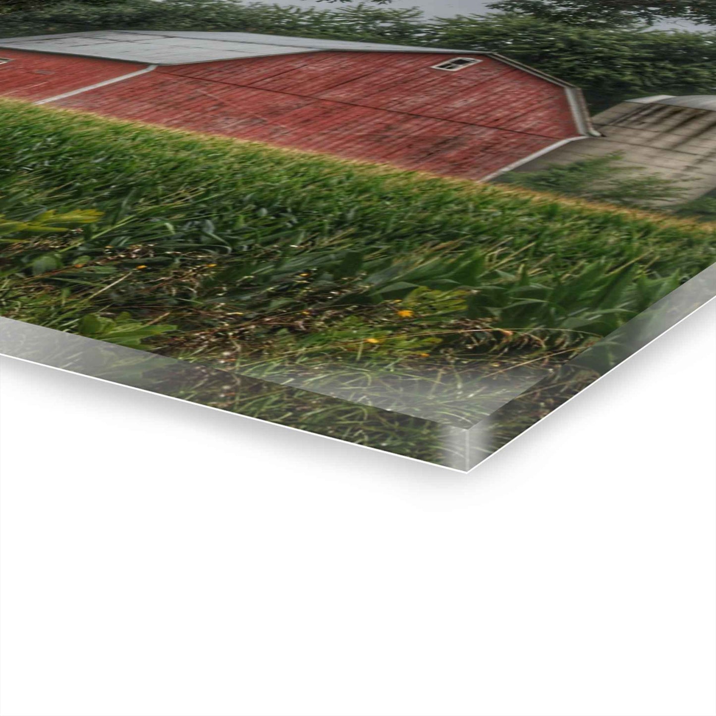 U R There Photography Mayville Lapeer Road Red Rustic Farmhouse Acrylic Wall Print