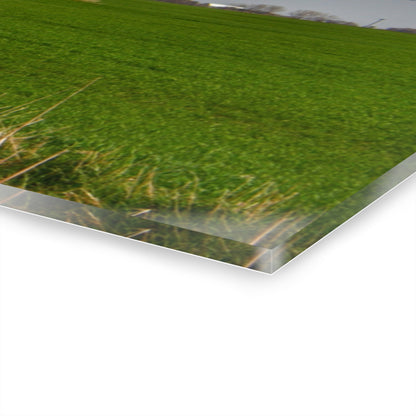 U R There Photography McAlpine Grey Rustic Farmhouse Acrylic Wall Print