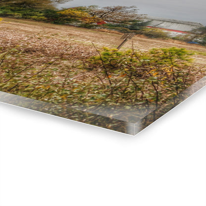 U R There Photography Hadley Road Hidden Red in Fall Rustic Farmhouse Acrylic Wall Print