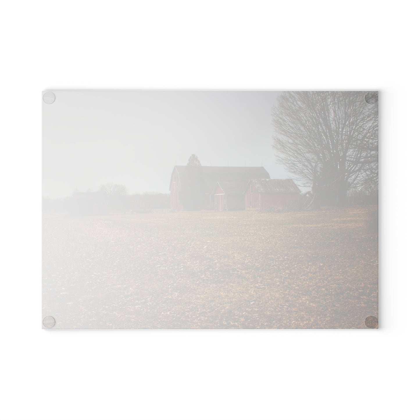 U R There Photography Wilder Road Reds in Spring Rustic Farmhouse Tempered-Glass Cutting Board