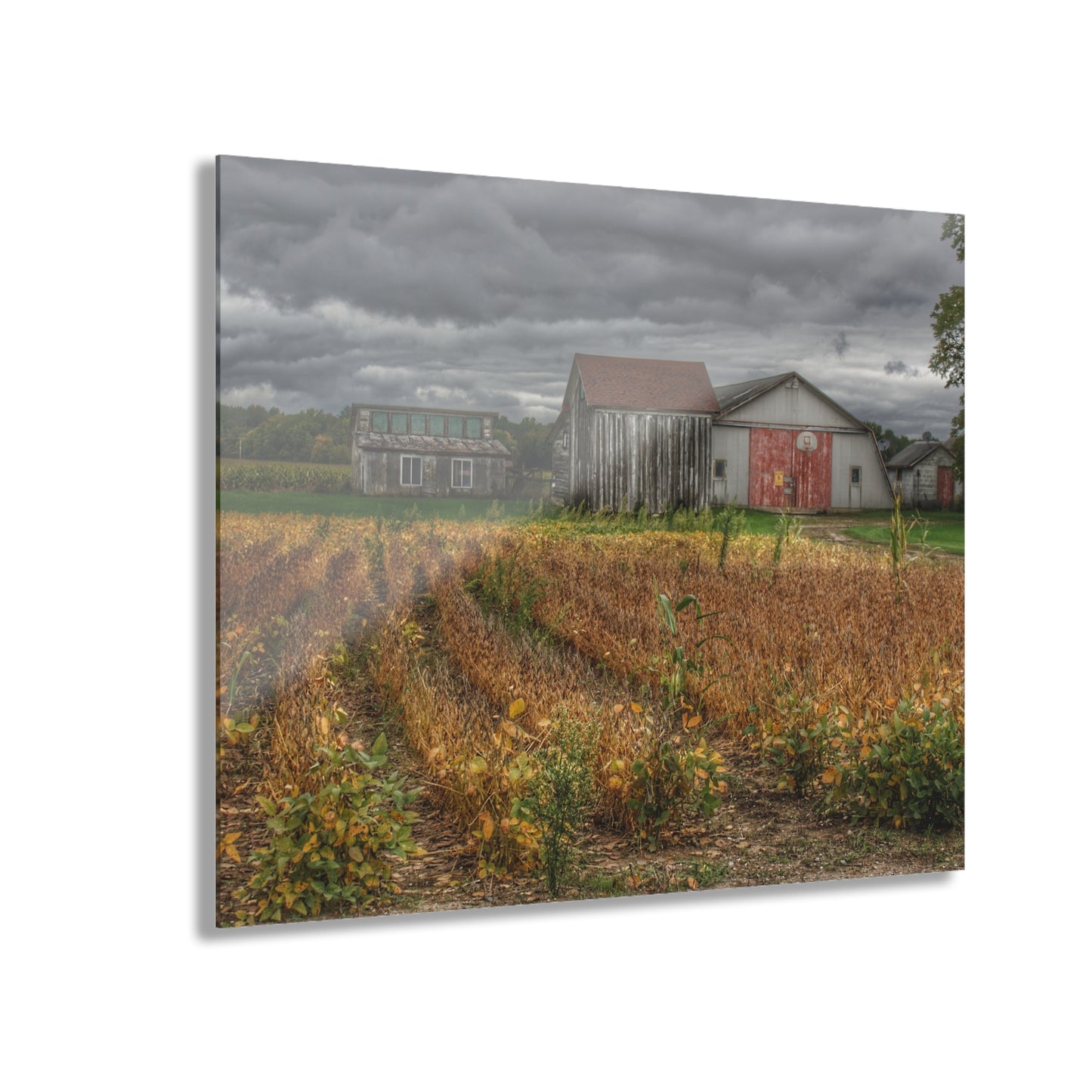 U R There Photography Murphy Lake Road Quonset Clan Rustic Farmhouse Acrylic Wall Print