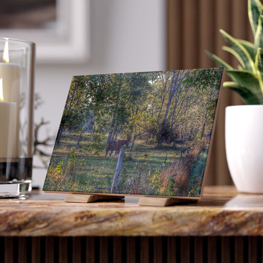 U R There Photography Chestnut Horse Among the Trees Rustic Farmhouse Decorative Ceramic Tile