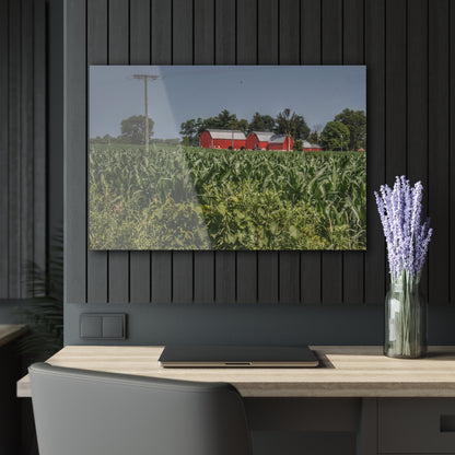 U R There Photography Shoemaker Road Reds Beyond the Corn Rustic Farmhouse Acrylic Wall Print