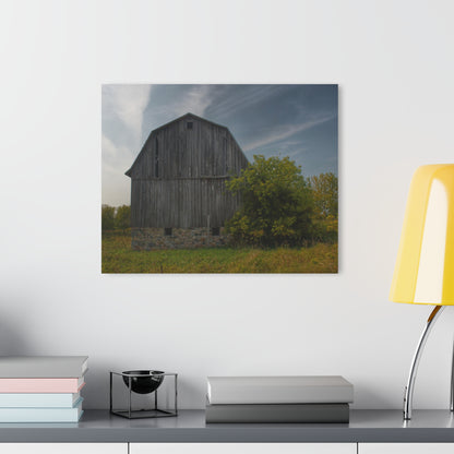U R There Photography Cat Lake Grey I Rustic Farmhouse Acrylic Wall Print