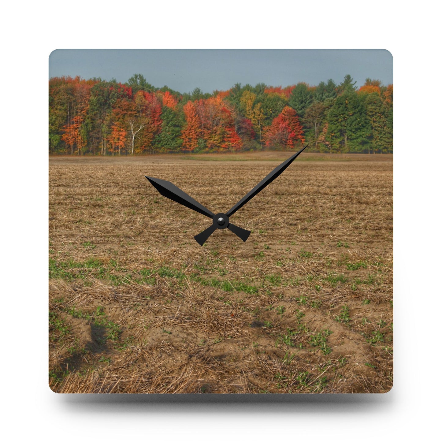 U R There Photography Fall on Murphy Lake III Rustic Farmhouse Acrylic Analog Wall Clock