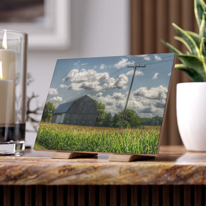 U R There Photography Grey Barn in a Cornfield Rustic Farmhouse Decorative Ceramic Tile