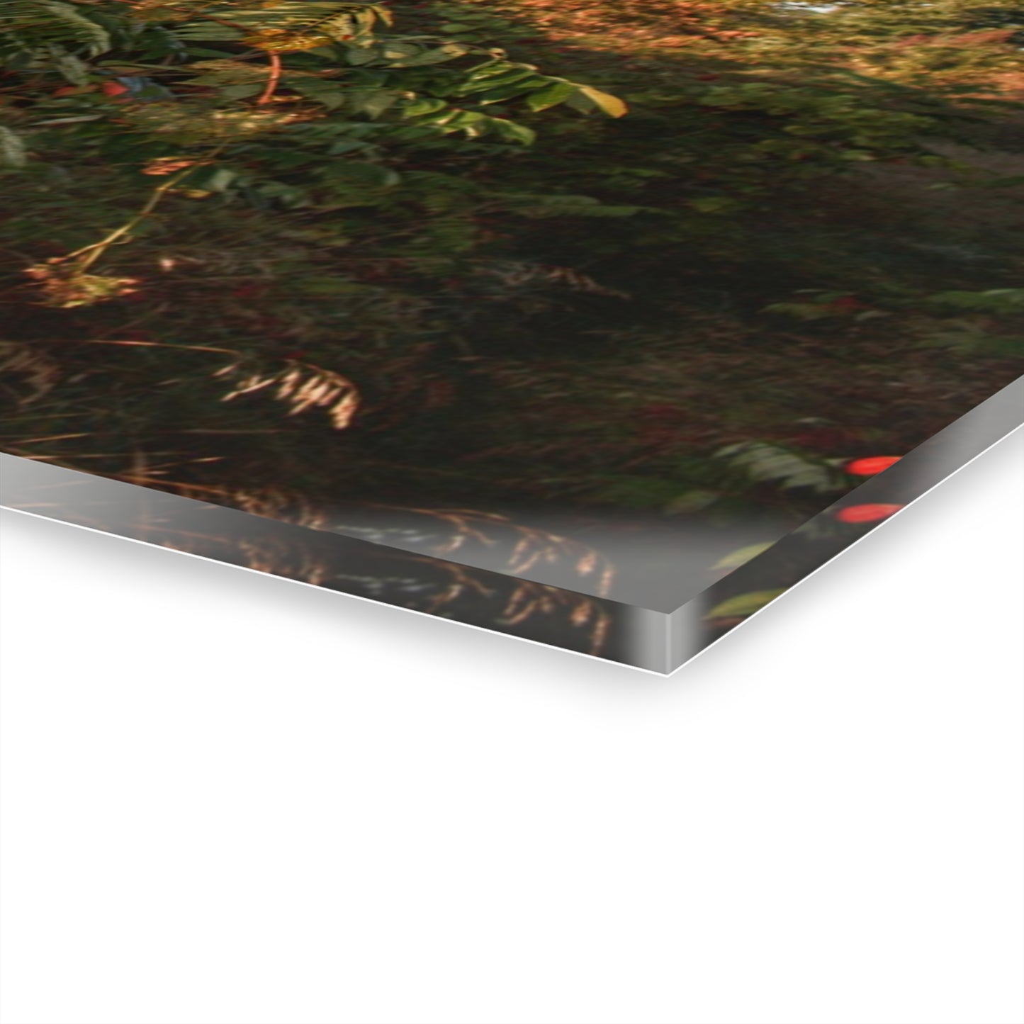 U R There Photography Hidden on Bearanger Road Rustic Farmhouse Acrylic Wall Print