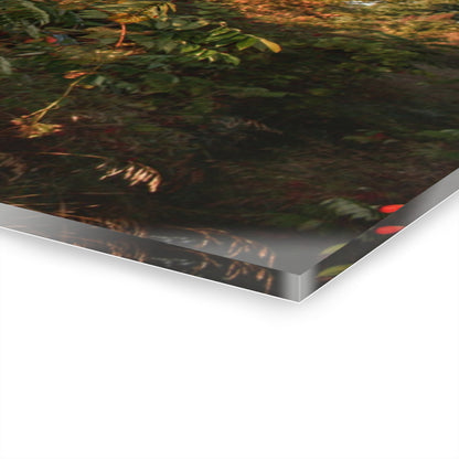 U R There Photography Hidden on Bearanger Road Rustic Farmhouse Acrylic Wall Print