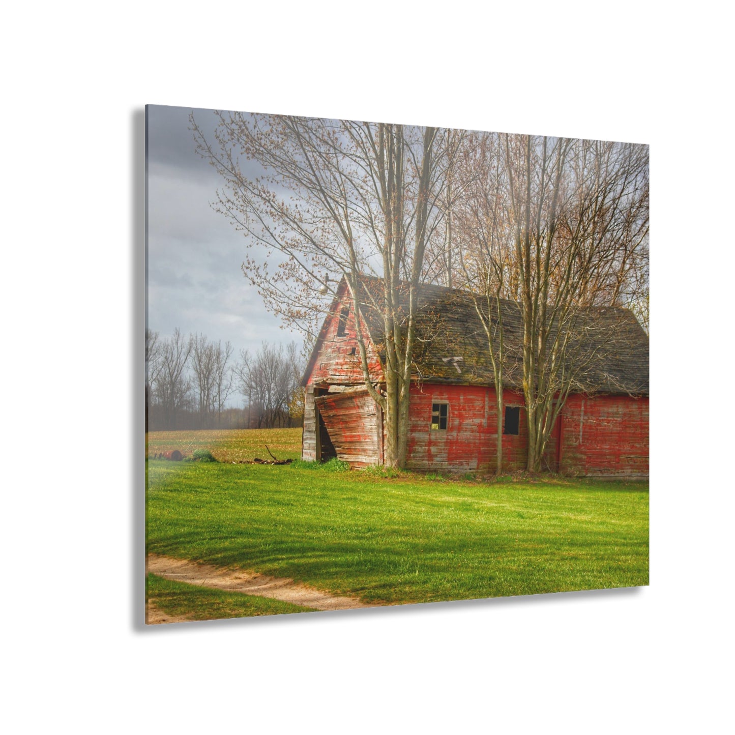 U R There Photography Centerline Shack Rustic Farmhouse Acrylic Wall Print