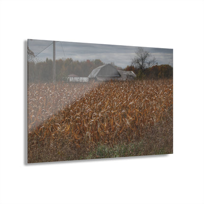 U R There Photography North State Road Grey Rustic Farmhouse Acrylic Wall Print