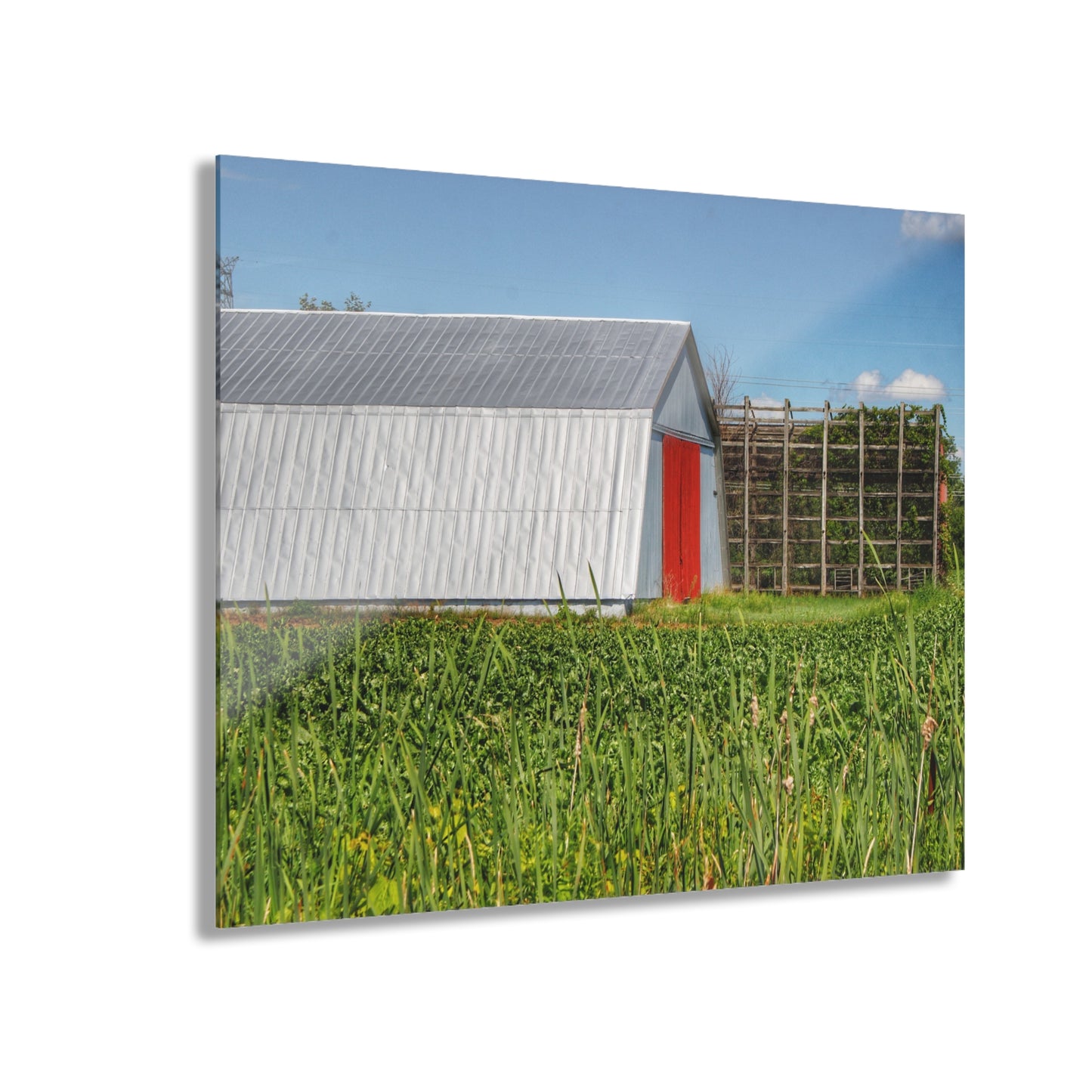 U R There Photography Montrose Farm II Rustic Farmhouse Acrylic Wall Print