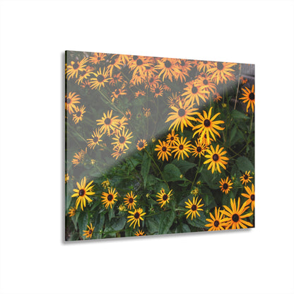 U R There Photography Black-Eyed Susan Rustic Farmhouse Acrylic Wall Print
