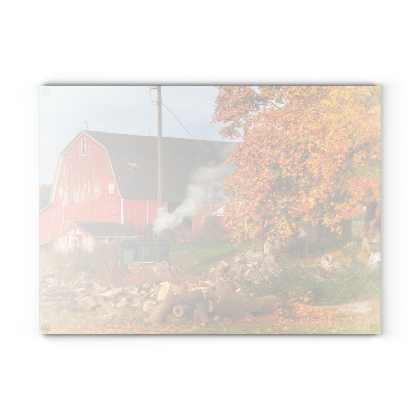 U R There Photography Greenwood Road Red in the Fall Rustic Farmhouse Tempered-Glass Cutting Board