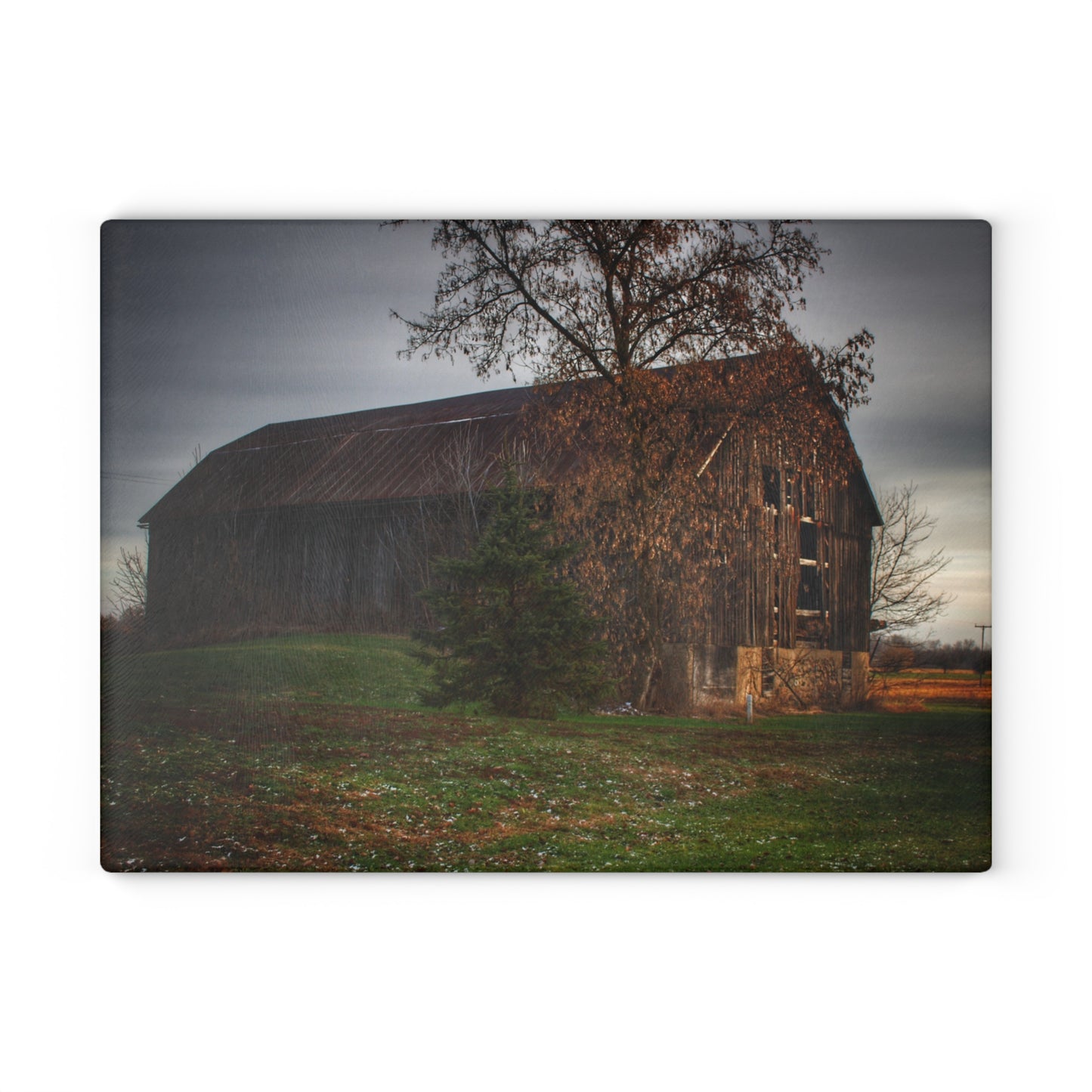 U R There Photography Melvin Grey Rustic Farmhouse Tempered-Glass Cutting Board