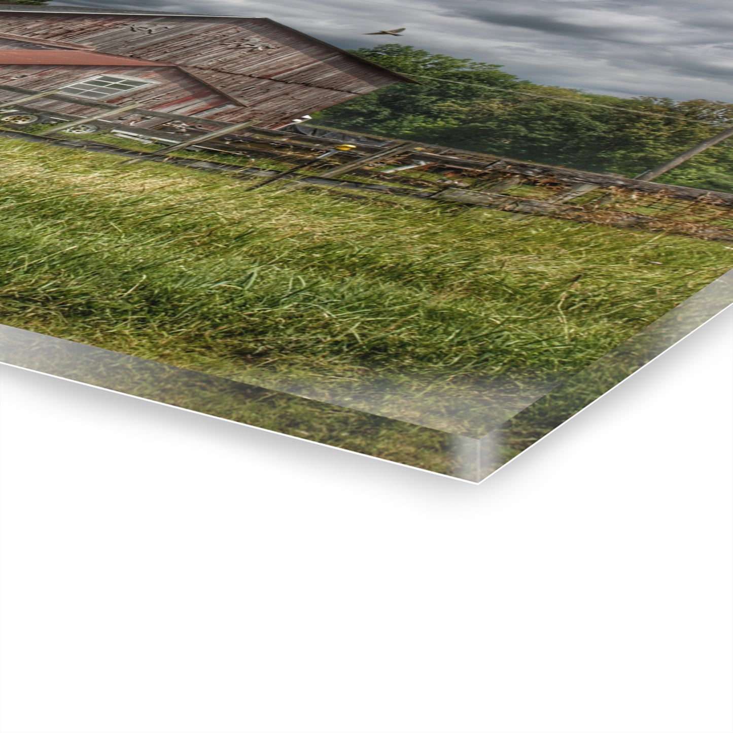 U R There Photography Millington Road Grey Horse Barn Rustic Farmhouse Acrylic Wall Print