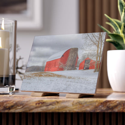 U R There Photography Catlin Reds in Winter II Rustic Farmhouse Decorative Ceramic Tile