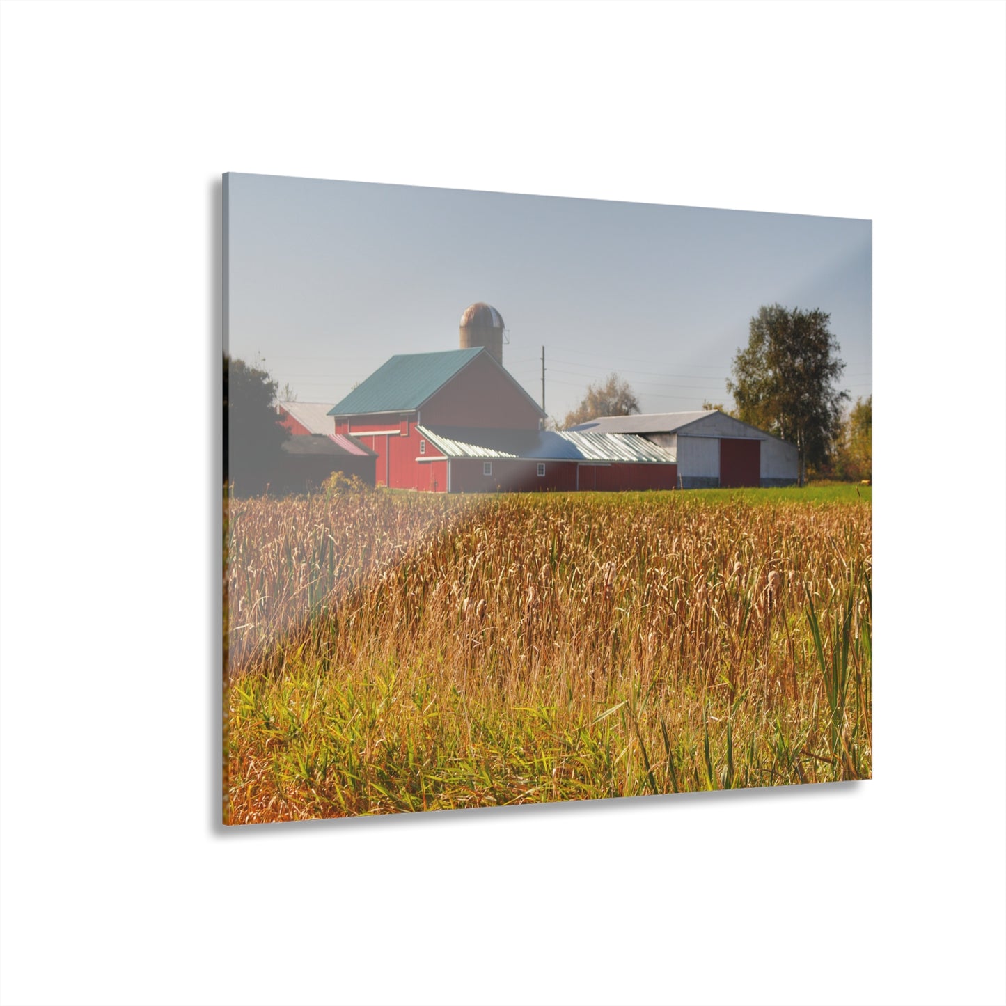 U R There Photography Oak Road Farm Rustic Farmhouse Acrylic Wall Print