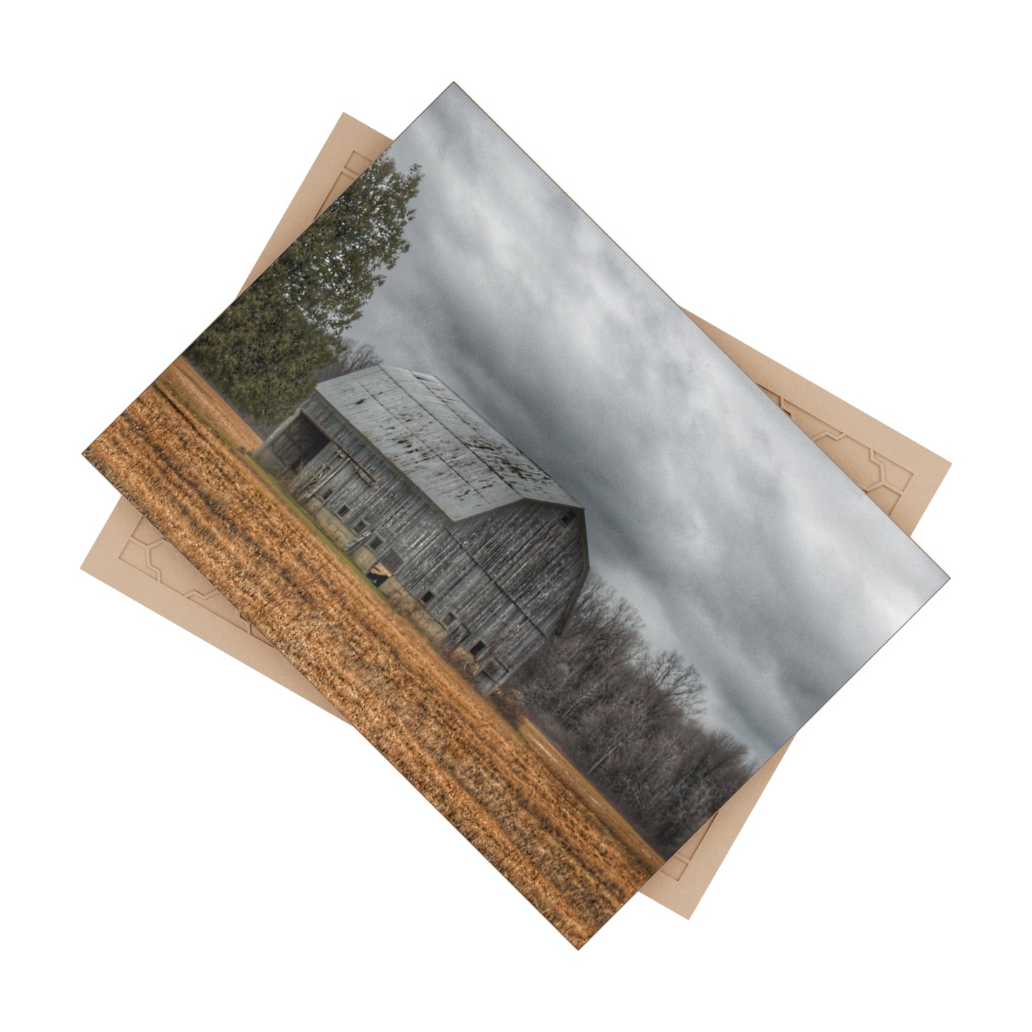 U R There Photography Grey Barn and Tree Rustic Farmhouse Decorative Ceramic Tile