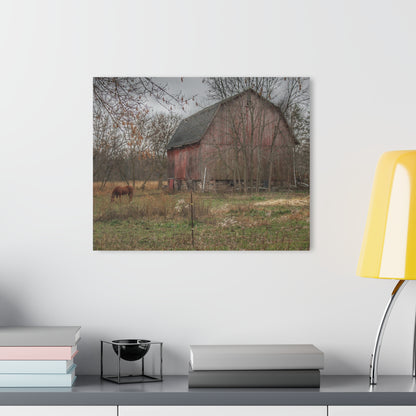 U R There Photography Blair Road Barn and Horse Rustic Farmhouse Acrylic Wall Print