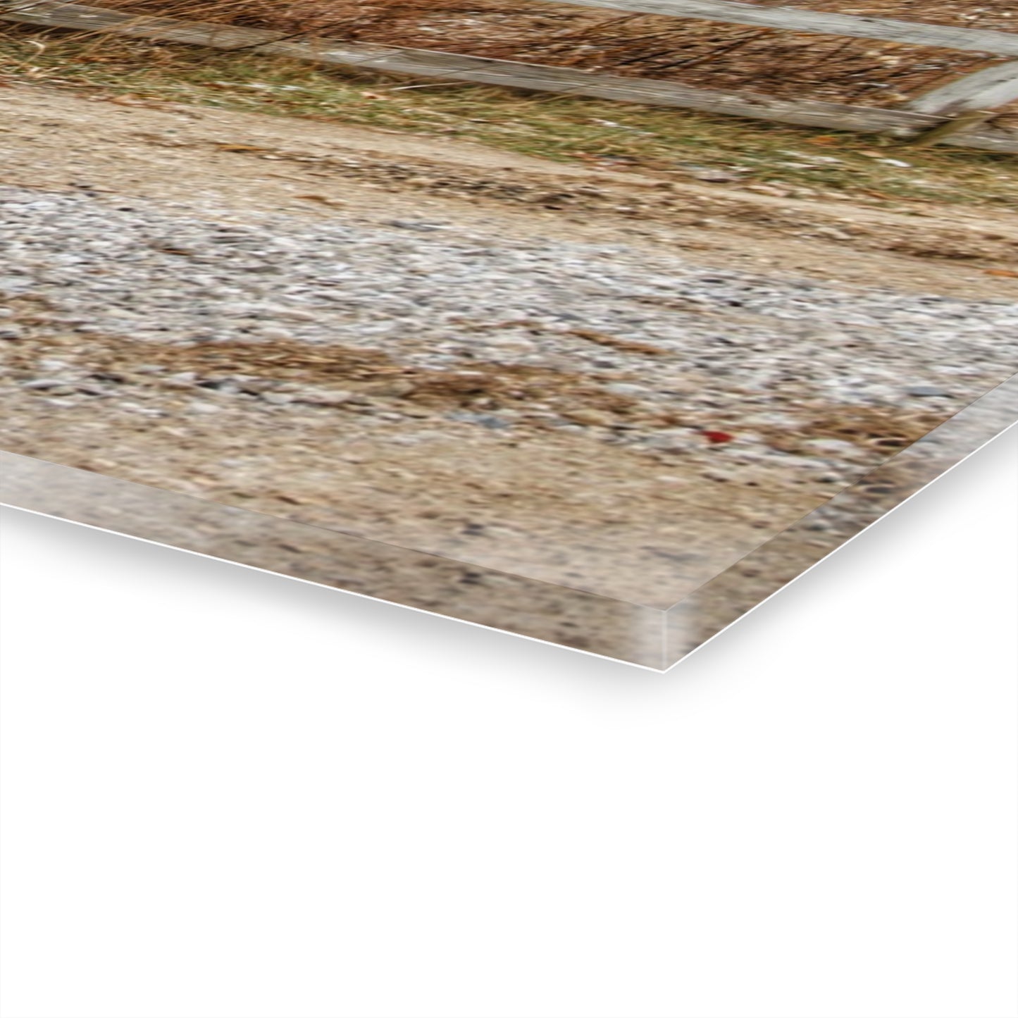 U R There Photography Mound Road Reds Rustic Farmhouse Acrylic Wall Print