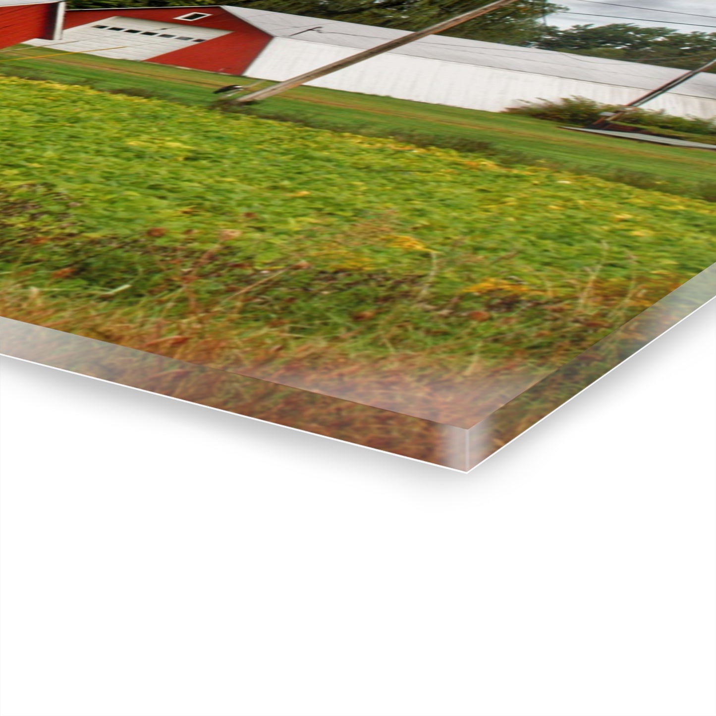 U R There Photography Kingston Road Trio II Rustic Farmhouse Acrylic Wall Print