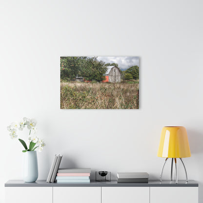U R There Photography East Frances Road Hidden Grey I Rustic Farmhouse Acrylic Wall Print