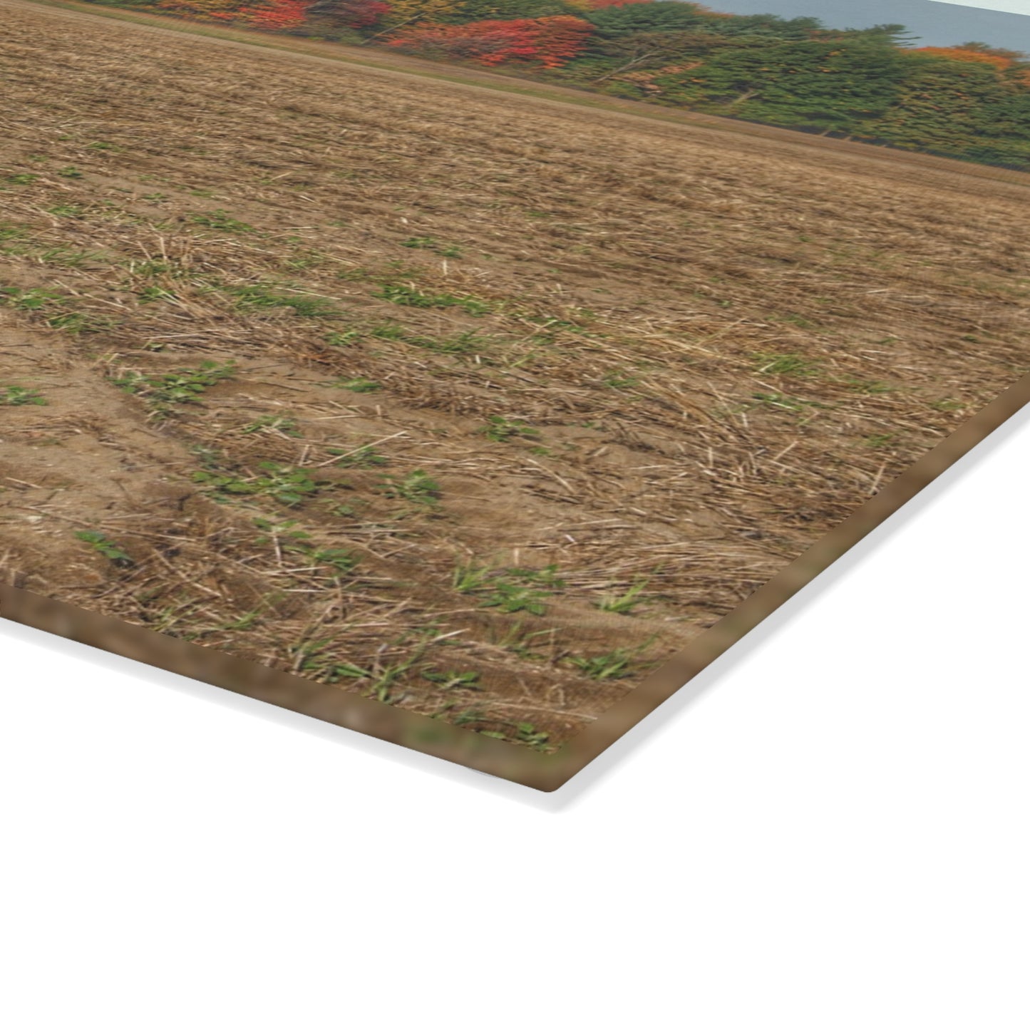 U R There Photography Fall on Murphy Lake III Rustic Farmhouse Tempered-Glass Cutting Board