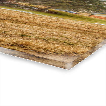 U R There Photography Laur Road Red Among the Pines I Rustic Farmhouse Acrylic Wall Print