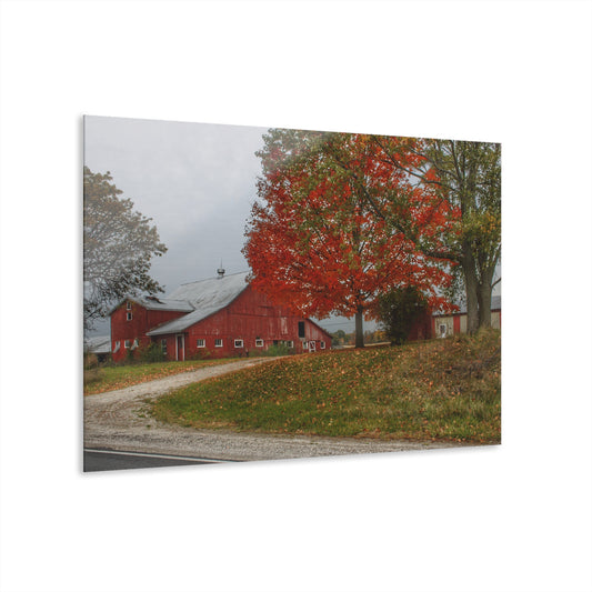U R There Photography Goodrich Baldwin Road Reds II Rustic Farmhouse Acrylic Wall Print