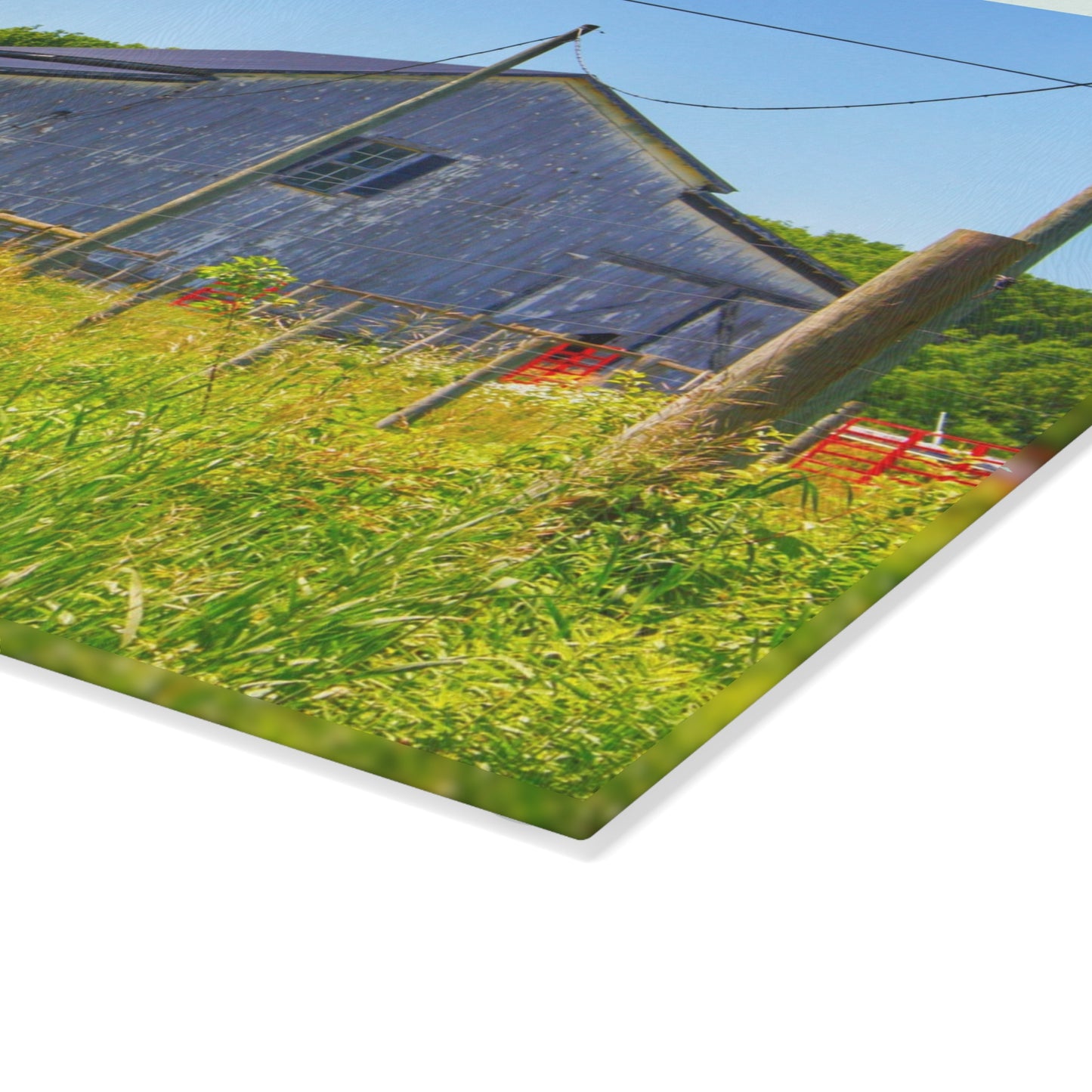 U R There Photography Greenwood Road Whitewash Grey Rustic Farmhouse Tempered-Glass Cutting Board