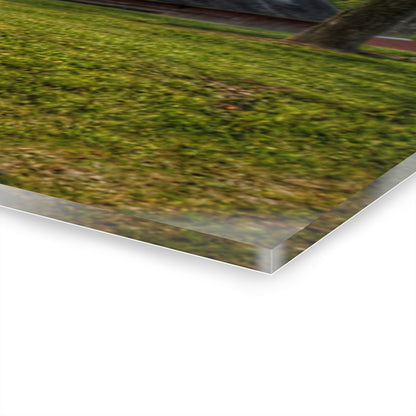 U R There Photography Hidden on Schott Road Rustic Farmhouse Acrylic Wall Print