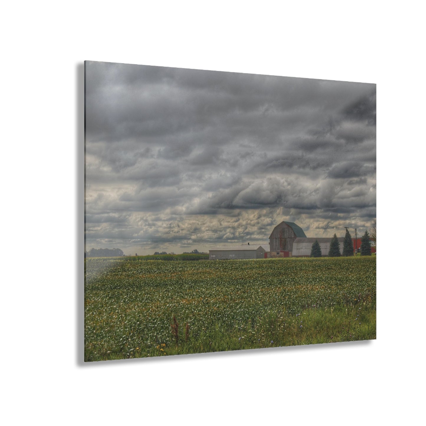 U R There Photography Early Fall on the Farm Rustic Farmhouse Acrylic Wall Print