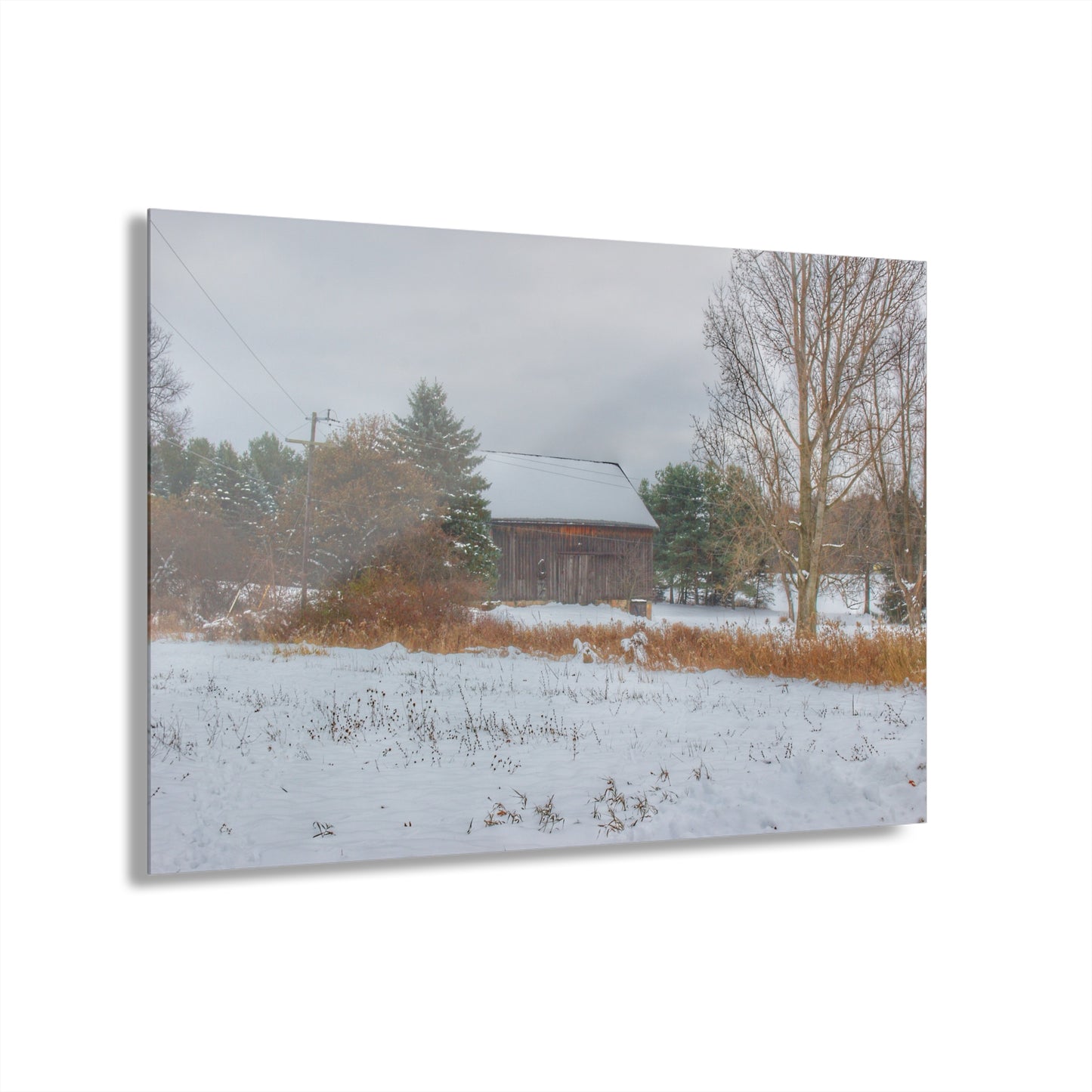 U R There Photography Hosner Road Grey in Late Fall Rustic Farmhouse Acrylic Wall Print