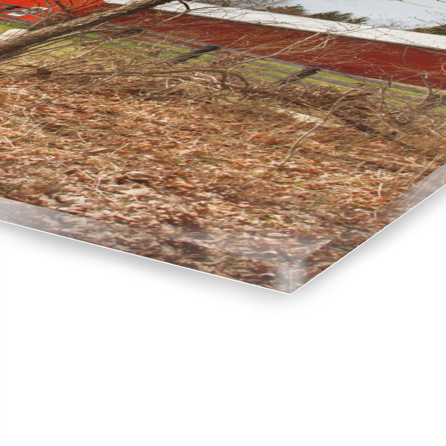 U R There Photography Hidden Hosner Reds Rustic Farmhouse Acrylic Wall Print