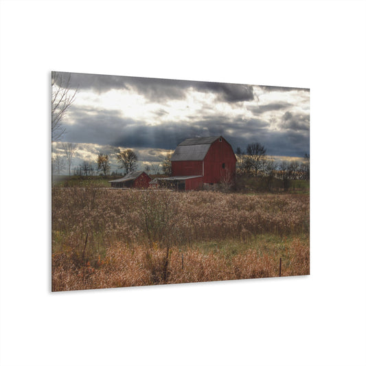 U R There Photography Booth Road Cow Barn II Rustic Farmhouse Acrylic Wall Print