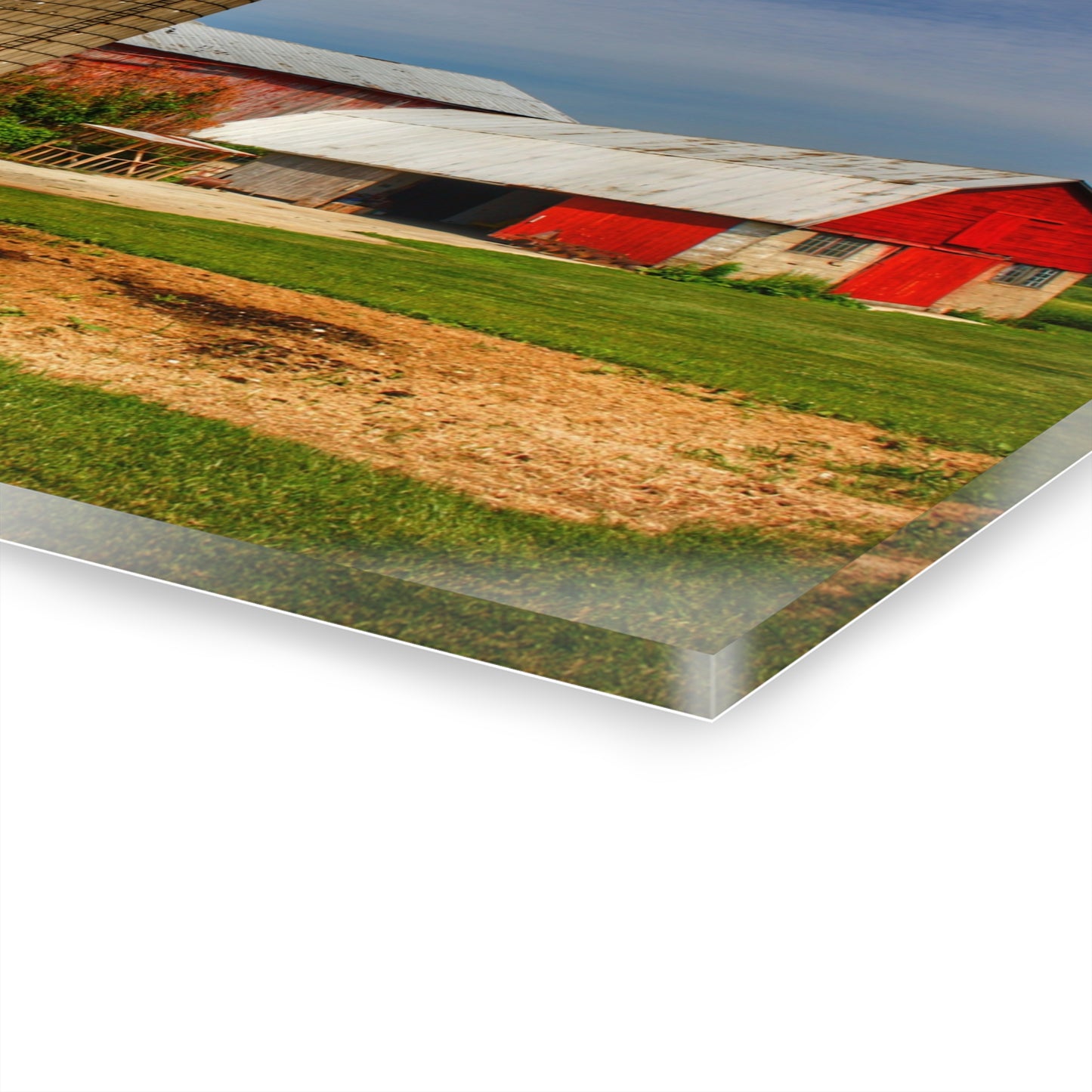 U R There Photography Marlette Red IV Rustic Farmhouse Acrylic Wall Print